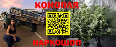 Альфа ПВП Апшеронск